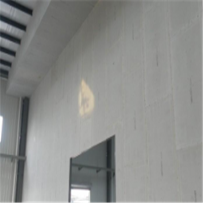城口宁波ALC板|EPS加气板隔墙与混凝土整浇联接的实验研讨